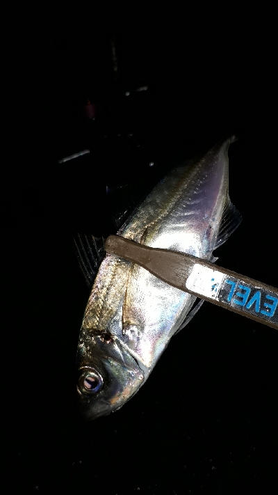 雨が降ろうがそれがなんだぁー