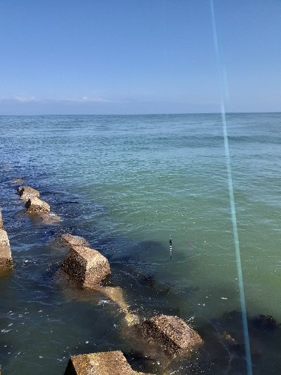 活性は高そうだが・・・