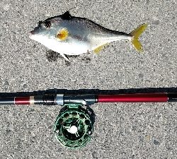 今年も奴が来た