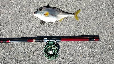 今年も奴が来た