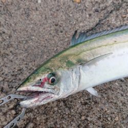 アメニモマケズ