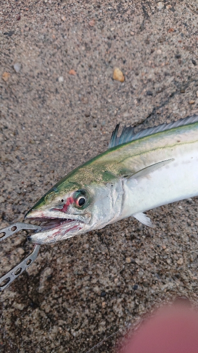 アメニモマケズ