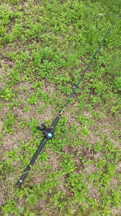 今年はタコがエエかも？