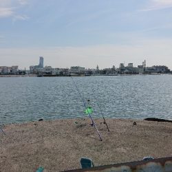 良い天気だったので