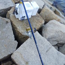 室津のキス釣り