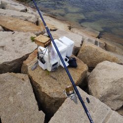 室津のキス釣り