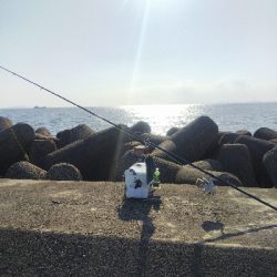 高砂港のキス釣り