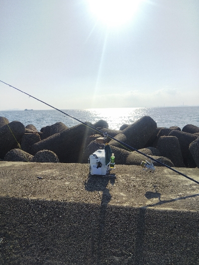 高砂港のキス釣り