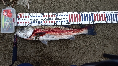 Vj丸呑みだったが…