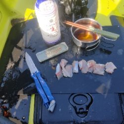 【カヤックフィッシング】巨大ナブラのど真ん中にキャスト！