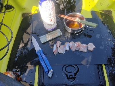 【カヤックフィッシング】巨大ナブラのど真ん中にキャスト！