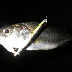 三密を避けて～