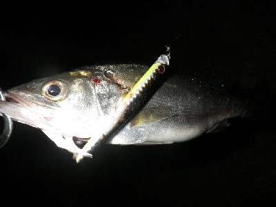 三密を避けて～