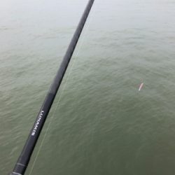 グッドコンディション沖シーバス