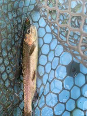 栃木市総合運動公園フィッシングフィールド