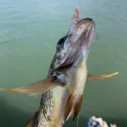 久しぶり行ってきました。