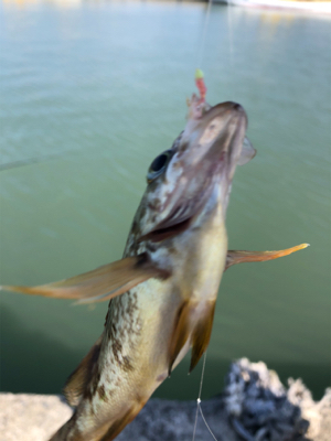 久しぶり行ってきました。