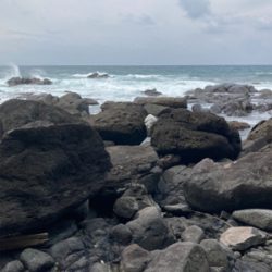 ゴールデンウィークのサラシヒラスズキ！！