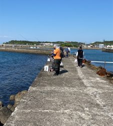 カレイ釣り、キス釣り