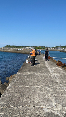 カレイ釣り、キス釣り