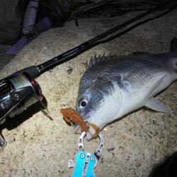 淀川ブリームゲーム