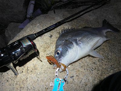 淀川ブリームゲーム