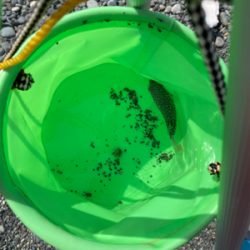 久々の湘南サーフ