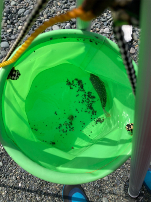 久々の湘南サーフ