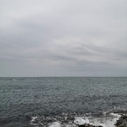 ハマチだけ鰤は出ず