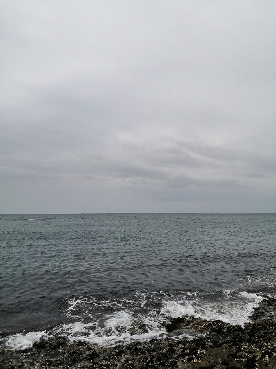 ハマチだけ鰤は出ず