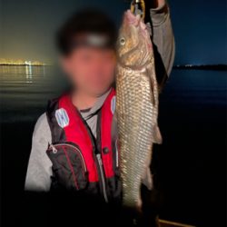 シーバス&ニゴイ