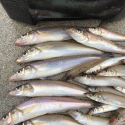 爆風の中ちょい投げ！？