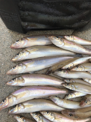 爆風の中ちょい投げ！？