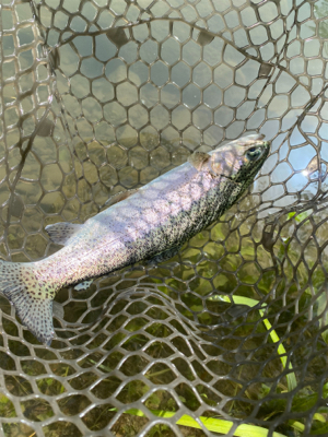 蛇尾川フィッシングエリア