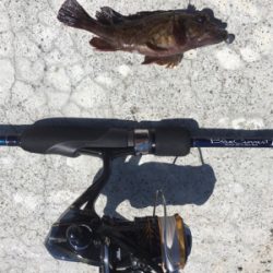 GW淡路島釣行❗️