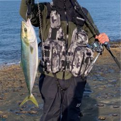 ロックショアで！