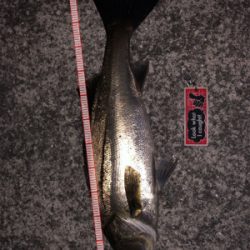 バチパターンで爆釣！