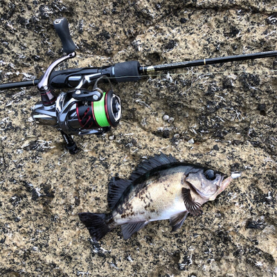 2021 佐渡ヶ島ライトゲーム