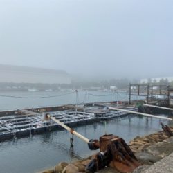 カレイ、キス、五目釣り