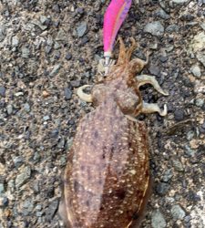 GW初日のリベンジマッチ!