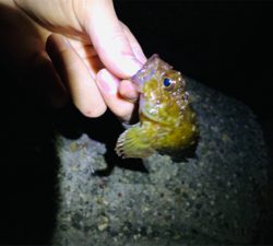 試し投げ釣行。