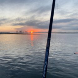 3ヶ月ぶりのメジロ