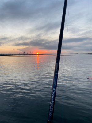 3ヶ月ぶりのメジロ