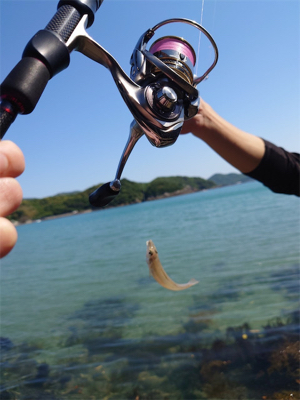 ライト投げ釣り