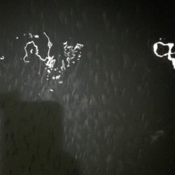 小場所のボイル打ち‼️