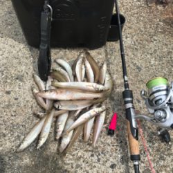 お手軽ちょい投げ