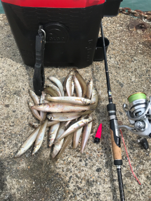 お手軽ちょい投げ