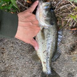 今年初めてのバス釣り。