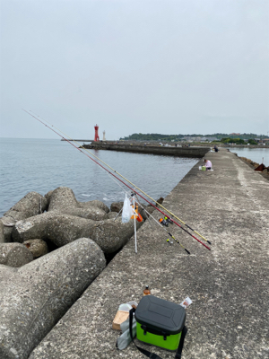 久しぶりの白灯で、キス釣り