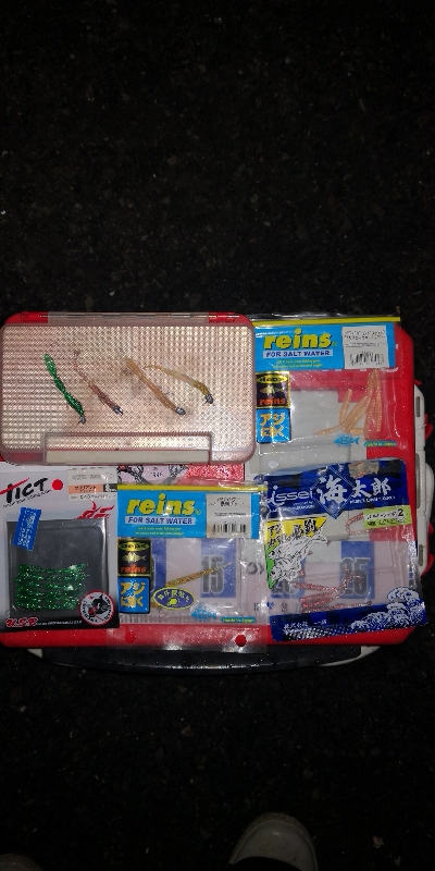 アジング練習 293